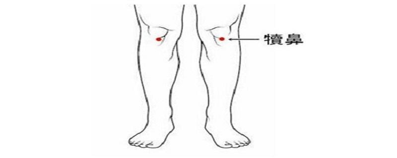 犊鼻的准确位置图视频（犊鼻的准确位置图和作用视频）