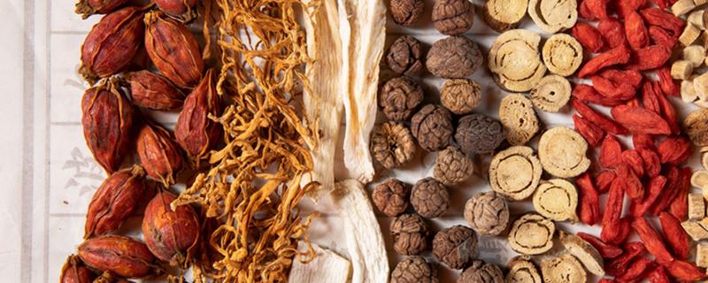 菟丝子的最佳搭配 菟丝子的绝配