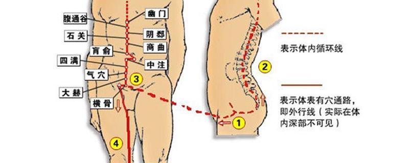 冲脉的准确走向位置图 冲脉的准确走向位置图片