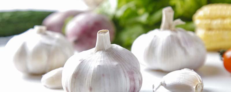 剥好的大蒜能放冷冻吗（大蒜可以剥好放冰箱冷冻吗）