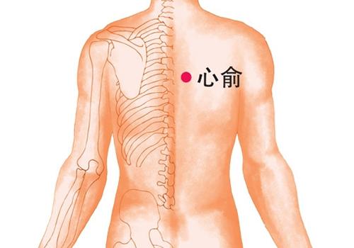 阳痿拔罐位置适宜图（拔罐壮阳的位置图解）