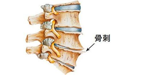 有些病不用治（有些病不用治了）