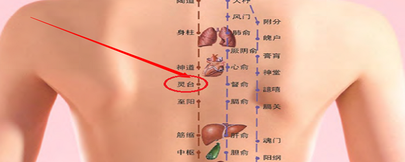 灵台的准确位置功效（灵台的准确位置图和作用）