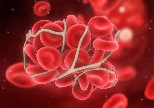 吃什么对血液循环好 吃什么可以对血液循环比较好