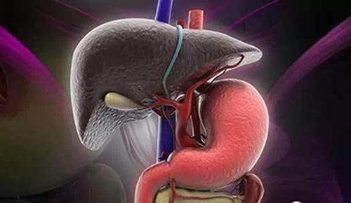 脂肪肝形成的原因(动物脂肪肝形成的原因)