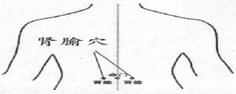 按摩肾俞的功效 按摩肾俞的最简单的方法