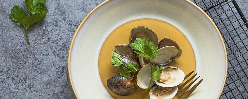 儿童吃花蛤的好处 儿童花蛤吃多了会流鼻血吗