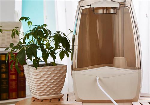 加湿器可以放床头吗 加湿器可以放床头吗晚上