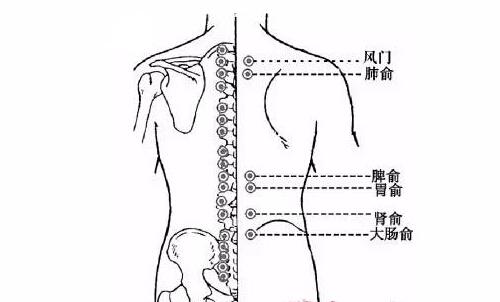 秋冬拔火罐 秋冬拔火罐一个月最多可以拔几次