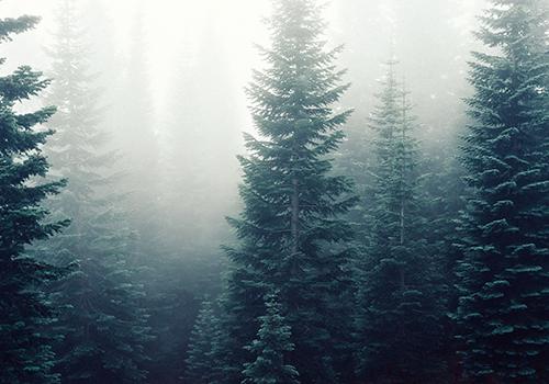 2019年有闰中伏吗（2021年闰中伏）