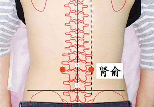 肾结石按摩哪个部位(肾结石按摩哪个部位有助排石)