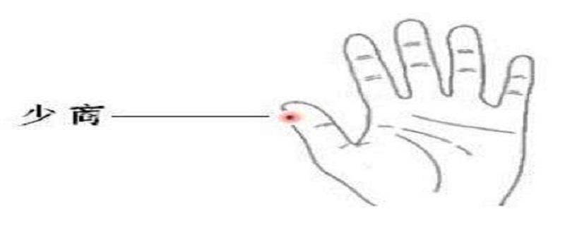 少商准确位置图和作用 少商准确位置图片图