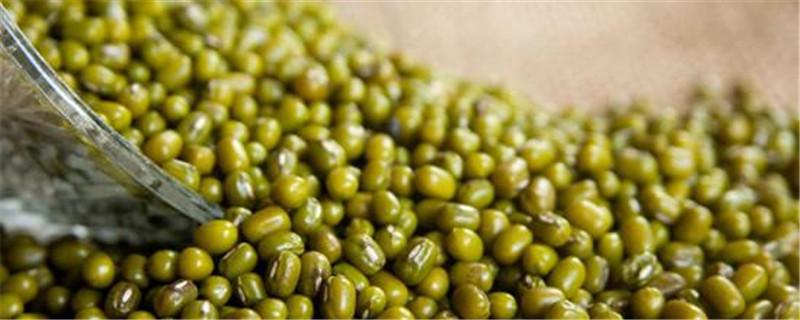 绿豆如何挑选 怎样识别发霉的绿豆