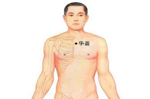 华盖的准确位置图作用（华盖的准确位置图片及作用）