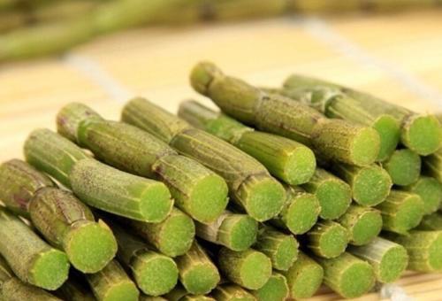 铁皮石斛怎么吃最好（铁皮石斛怎么吃最好,每天吃多少?）