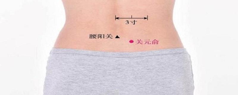 关元俞的简易找法 关元俞的简易找法视频