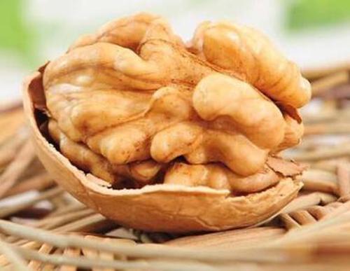 肾虚吃什么最管用（如果肾虚吃什么效果最好）