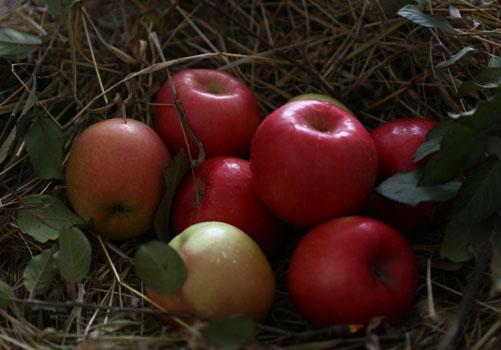 熬夜感冒喉咙痛怎么办（熬夜了喉咙痛怎么办）