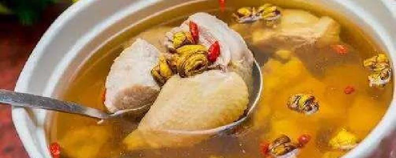 石斛炖鸡的功效(铁皮石斛炖鸡的功效)