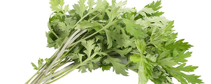 艾草煮水洗澡治湿疹吗 艾草煮水洗澡能治湿疹吗