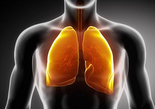 肺结核的早期症状 肺结核的早期症状有流鼻涕吗