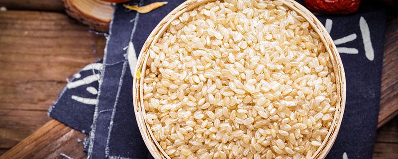 糙米可以减肥吗 糙米怎么吃减肥最快