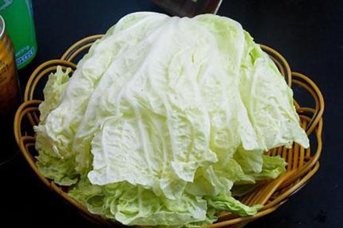 春季降火的食物（春季降火的食物有哪些）