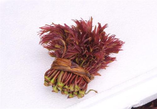 吃香椿能引起颈椎病吗 吃香椿能引起颈椎病吗吗