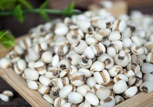 春天吃什么祛湿气 春天喝什么去湿气效果最好