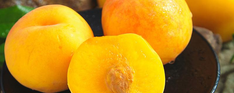 一个黄桃的热量是多少大卡 100克黄桃的热量是多少大卡