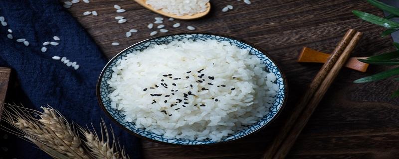 怎样用蒸烤箱做米饭 烤箱能蒸米饭吗窍门