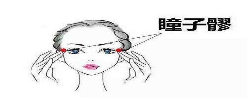 瞳子髎是什么意思（瞳噇的意思）