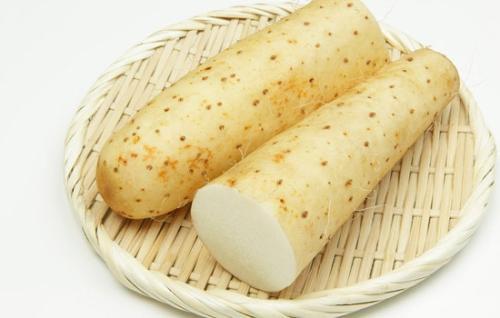 什么中药对胃好 养胃的中药有哪些