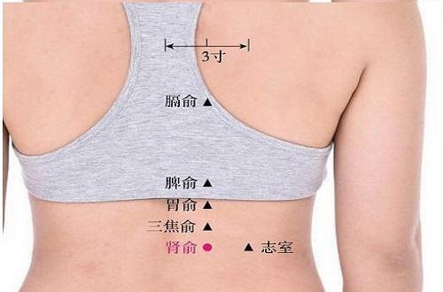 胃俞的准确位置图和作用（胃俞的准确位置图和作用视频）