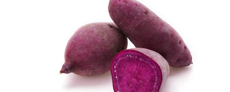 紫薯干的热量高吗 紫薯干吃多了会胖吗