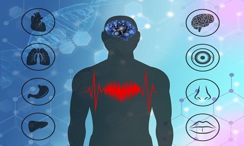 神封的准确位置图作用（神封的准确位置图作用的准确位置图片）