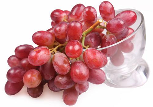 吃提子会拉肚子吗（拉肚能吃提子吗）