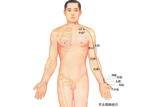 肺经当令时间（肺经当令时间老醒,应如何处理）