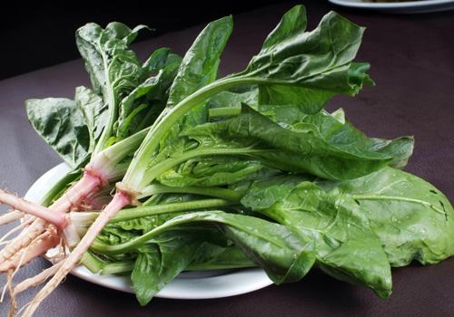 胃不好吃什么食物养胃 胃不好吃什么食物养胃最好