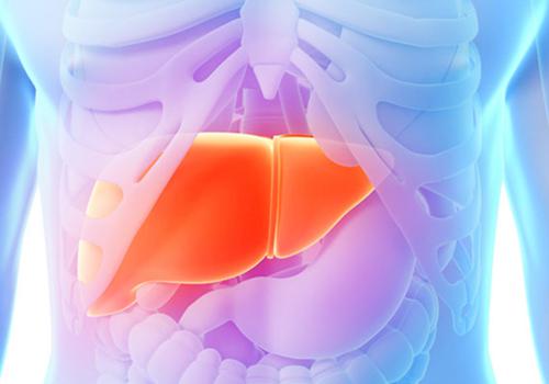 脂肪肝能治好吗（肝大脂肪肝能治好吗）