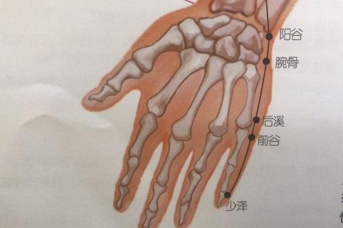 前谷准确位置图和作用 前谷准确位置图和作用及功效