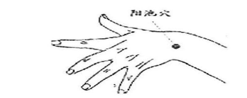 按摩阳池的作用（揉阳池的功效）