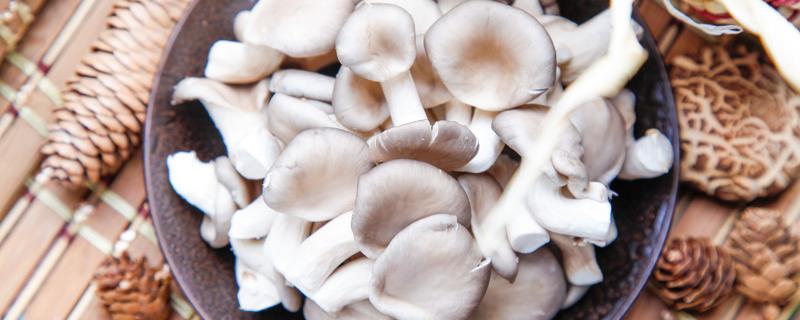 炸蘑菇用不用焯水 炸蘑菇用不用焯水再炒