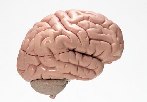 小脑萎缩会遗传吗 小脑萎缩有遗传基因吗