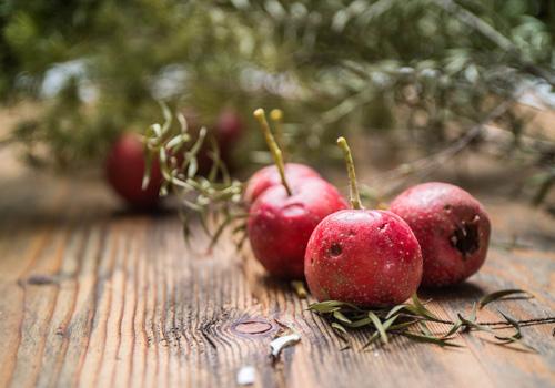 山楂吃多了胃酸怎么办 山楂吃多了胃不舒服怎么办