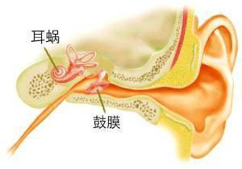 神经性耳聋的危害主要有哪些呢（）