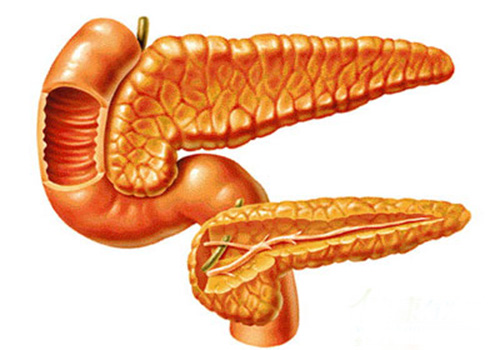 胰腺肿瘤有什么症状 胰腺肿瘤有什么症状有哪些