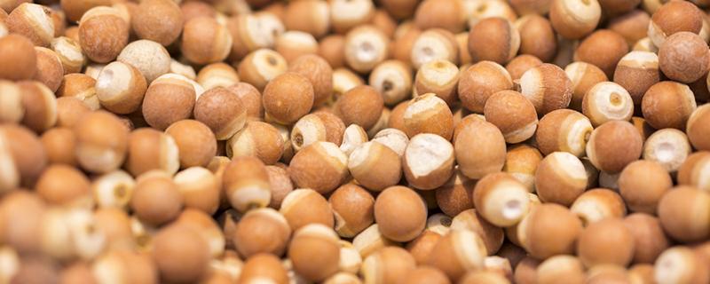 女生吃芡实的功效与作用 女生吃芡实的功效与作用禁忌消化的中药需煎多少时间