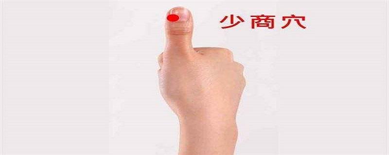 少商的位置 少商的位置图和作用