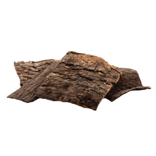 补肾的中药有哪些 补肾阴的中药有哪些